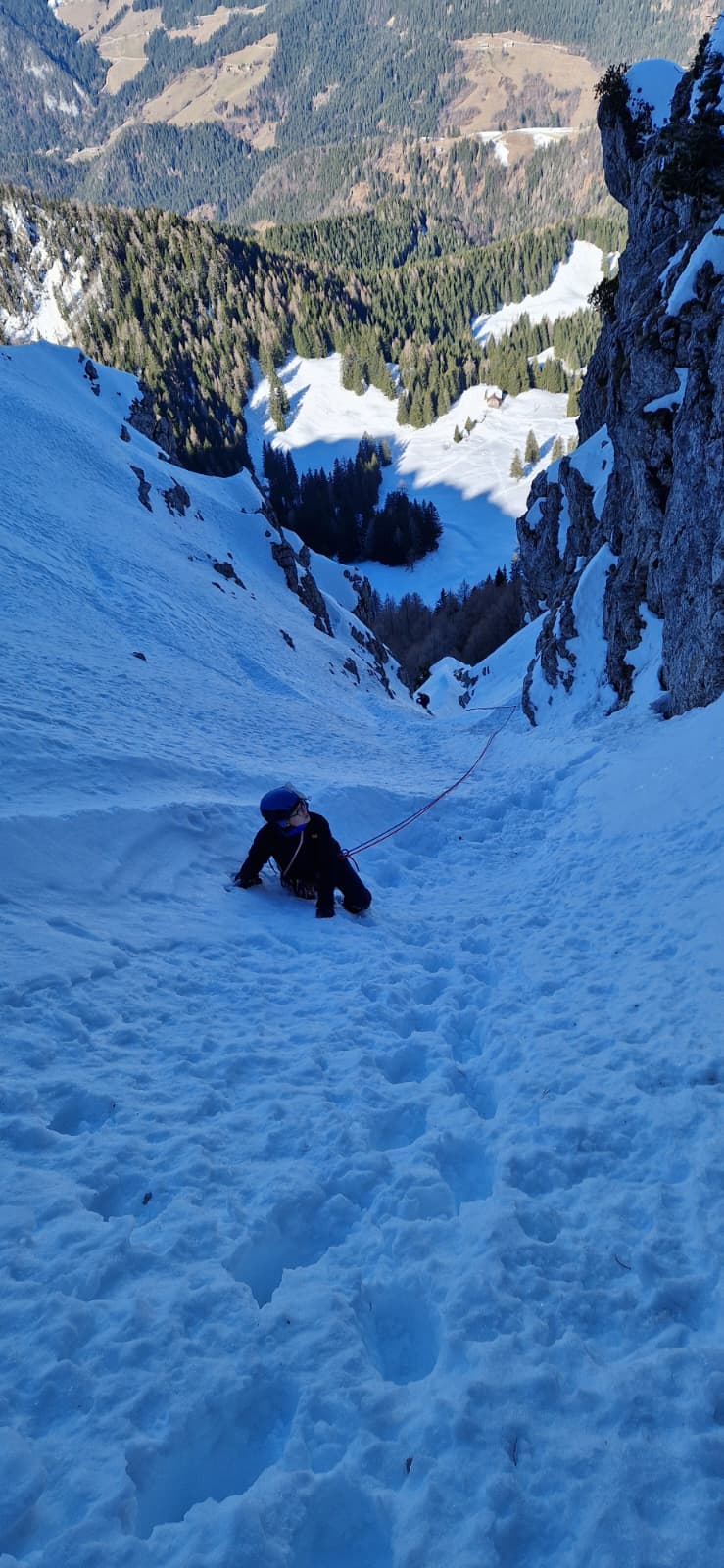 "Kam naj dam frenda?"